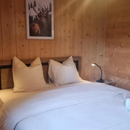 Chalet Le Du Pere Michel, Jacuzzi, Sauna, Jardin La Bresse