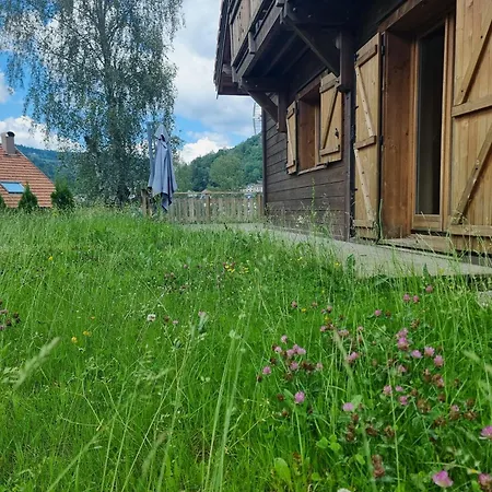 Chalet Le Du Pere Michel, Jacuzzi, Sauna, Jardin *
